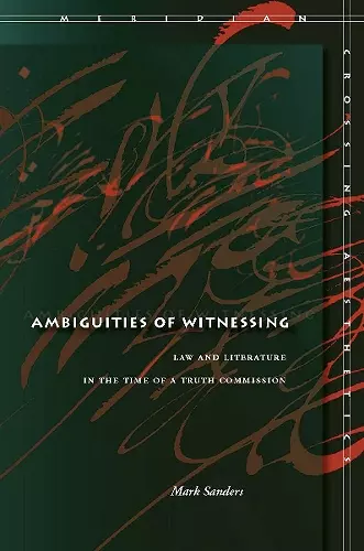 Ambiguities of Witnessing cover