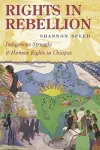 Rights in Rebellion cover