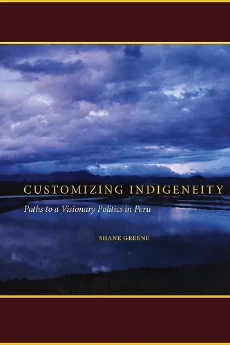 Customizing Indigeneity cover