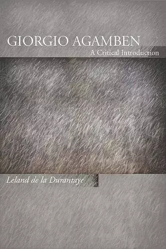 Giorgio Agamben cover