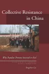 Collective Resistance in China cover