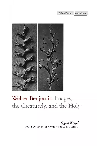 Walter Benjamin cover