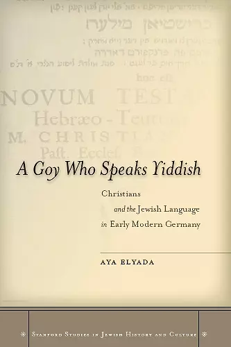 A Goy Who Speaks Yiddish cover