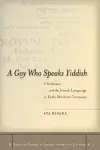 A Goy Who Speaks Yiddish cover