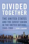 Divided Together cover