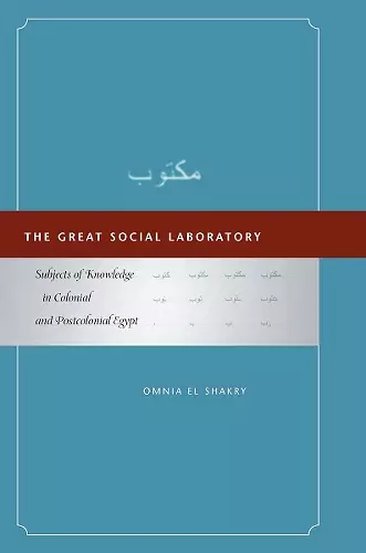 The Great Social Laboratory cover