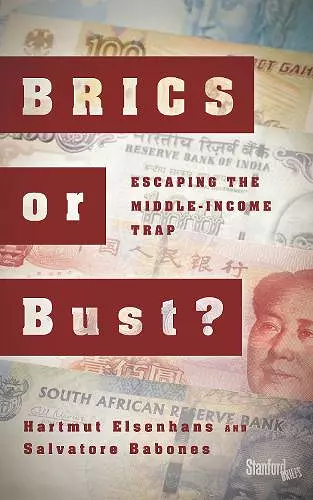 BRICS or Bust? cover