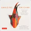 Amazing Origami Kit cover