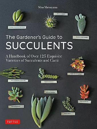 The Gardener's Guide to Succulents cover