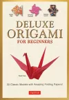 Deluxe Origami for Beginners Kit cover