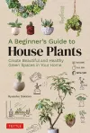 A Beginner's Guide to House Plants cover