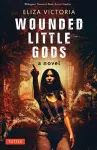 Wounded Little Gods cover