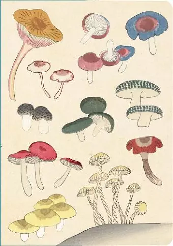 Healing Mushrooms Lined Paperback Journal cover