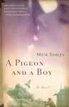A Pigeon and a Boy cover