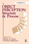 Object Perception cover