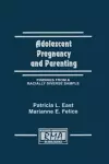 Adolescent Pregnancy and Parenting cover