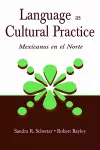 Language as Cultural Practice cover