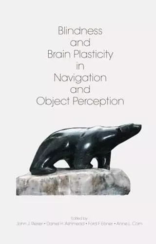 Blindness and Brain Plasticity in Navigation and Object Perception cover