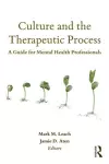 Culture and the Therapeutic Process cover