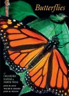 Butterflies of Oklahoma, Kansas, and North Texas cover