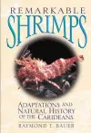 Remarkable Shrimps cover