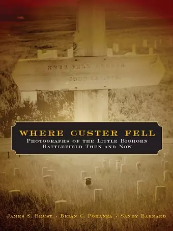 Where Custer Fell cover