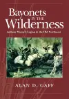 Bayonets in the Wilderness cover