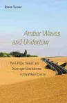 Amber Waves and Undertow cover
