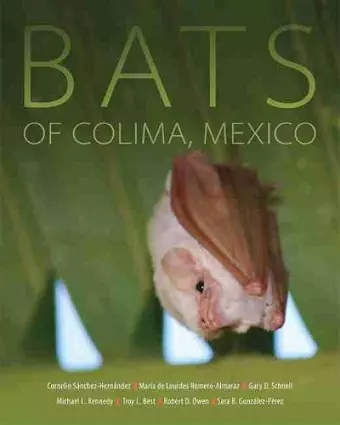 Bats of Colima, Mexico cover