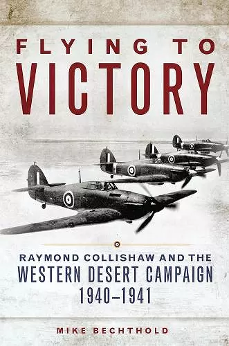 Flying to Victory cover