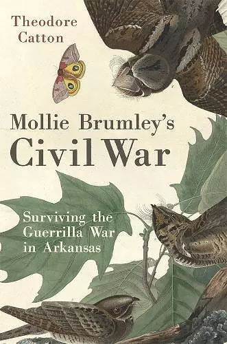 Mollie Brumley's Civil War cover