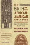 The Birth of African-American Culture cover