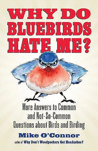 Why Do Bluebirds Hate Me? cover
