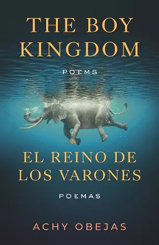 Boy Kingdom / El reino de los varones,The cover