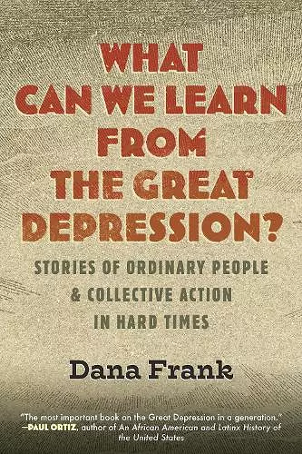 What Can We Learn from the Great Depression? cover