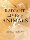 The Radiant Lives of Animals cover