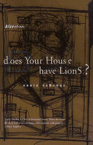 Does Your House Have Lions? cover