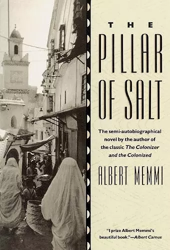 The Pillar of Salt cover