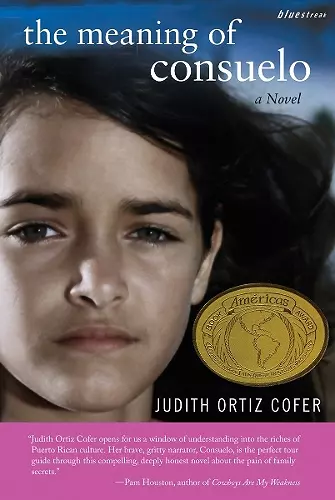 The Meaning of Consuelo cover