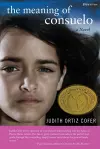 The Meaning of Consuelo cover