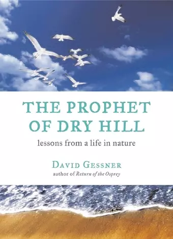 The Prophet of Dry Hill cover