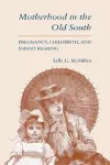 Motherhood in the Old South cover