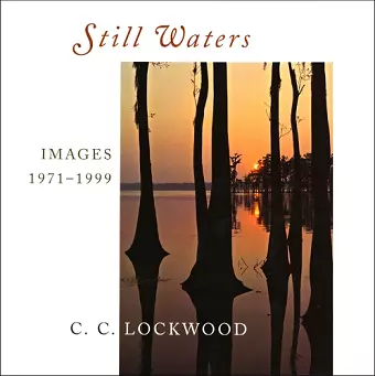 Still Waters cover