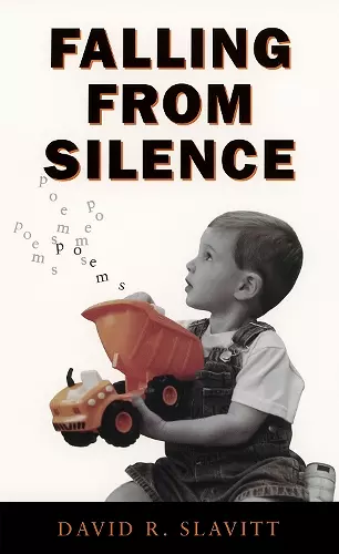 Falling from Silence cover