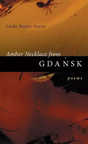 Amber Necklace from Gdansk cover
