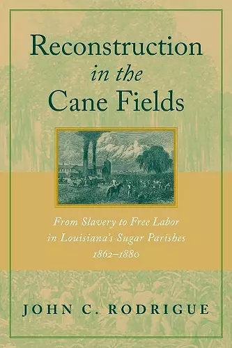 Reconstruction in the Cane Fields cover