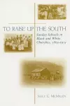 To Raise Up the South cover