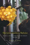 The Great Southern Babylon cover