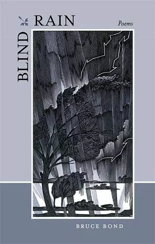 Blind Rain cover