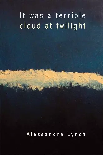It was a terrible cloud at twilight cover